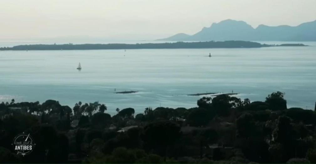 Vue Mer Et Remparts. Entre Vieille Ville Et Plages Antibes Eksteriør billede